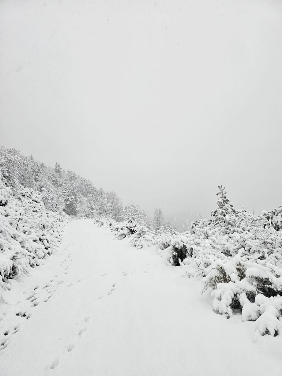 Saldes Pedraforca Apartment ภายนอก รูปภาพ